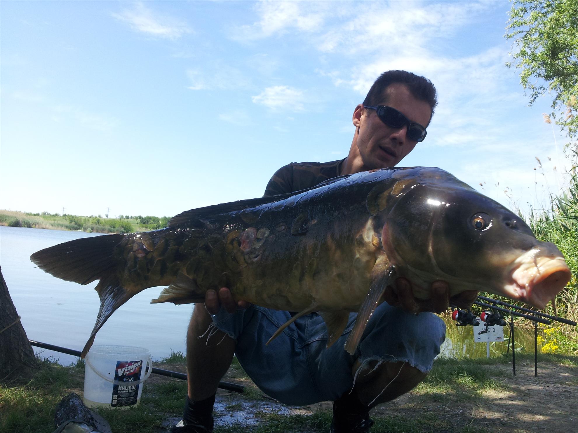 tancabesti 11-12'05''2013 - 20130512141118.jpg